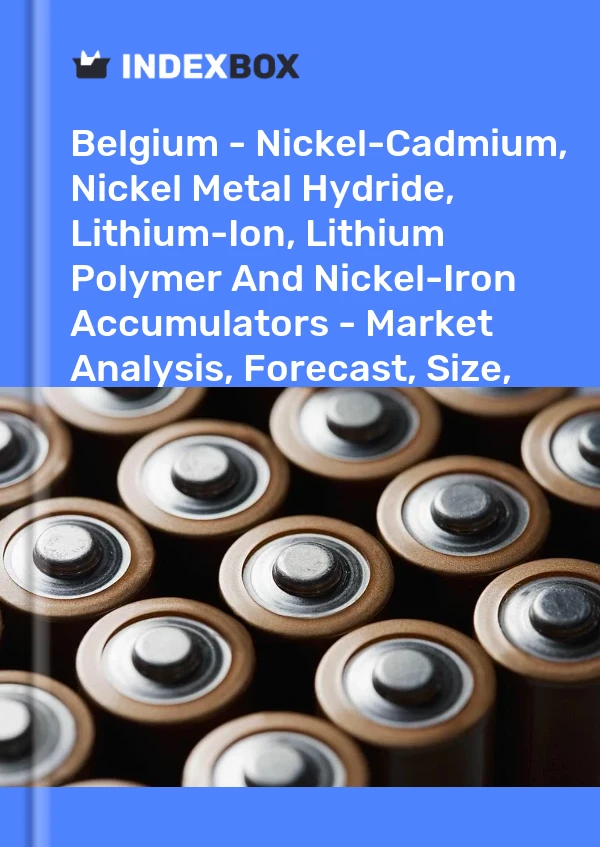 Report Belgium - Nickel-Cadmium, Nickel Metal Hydride, Lithium-Ion, Lithium Polymer and Nickel-Iron Accumulators - Market Analysis, Forecast, Size, Trends and Insights for 499$