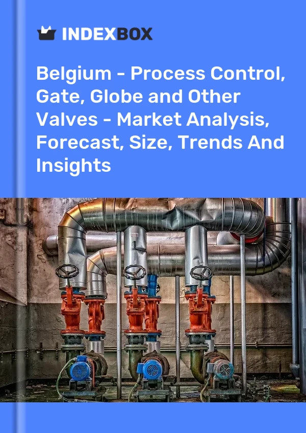 Belgium - Process Control, Gate, Globe and Other Valves - Market Analysis, Forecast, Size, Trends And Insights