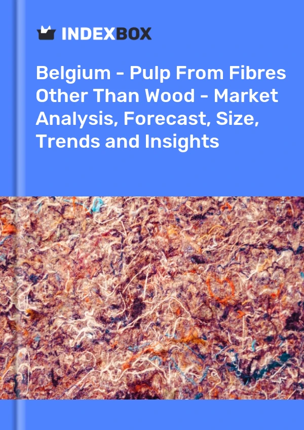 Report Belgium - Pulp From Fibres Other Than Wood - Market Analysis, Forecast, Size, Trends and Insights for 499$