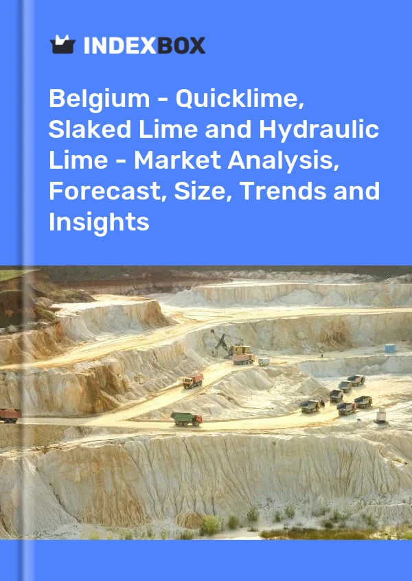 Report Belgium - Quicklime, Slaked Lime and Hydraulic Lime - Market Analysis, Forecast, Size, Trends and Insights for 499$