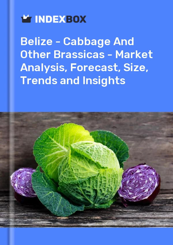 Report Belize - Cabbage and Other Brassicas - Market Analysis, Forecast, Size, Trends and Insights for 499$