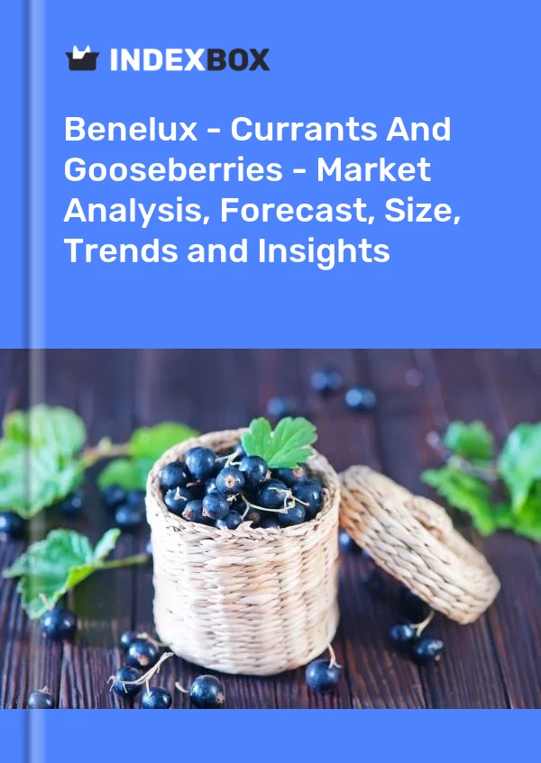 Report Benelux - Currants and Gooseberries - Market Analysis, Forecast, Size, Trends and Insights for 499$