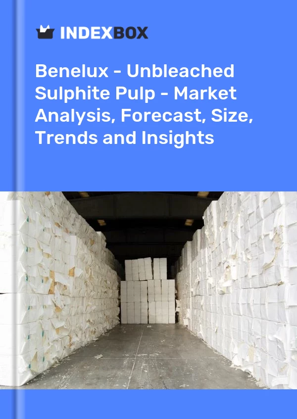 Report Benelux - Unbleached Sulphite Pulp - Market Analysis, Forecast, Size, Trends and Insights for 499$
