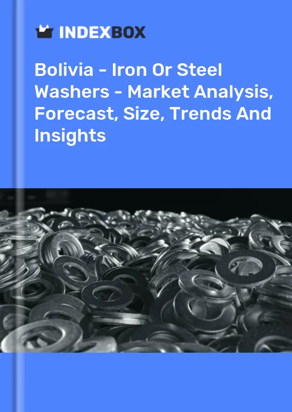 Report Bolivia - Iron or Steel Washers - Market Analysis, Forecast, Size, Trends and Insights for 499$