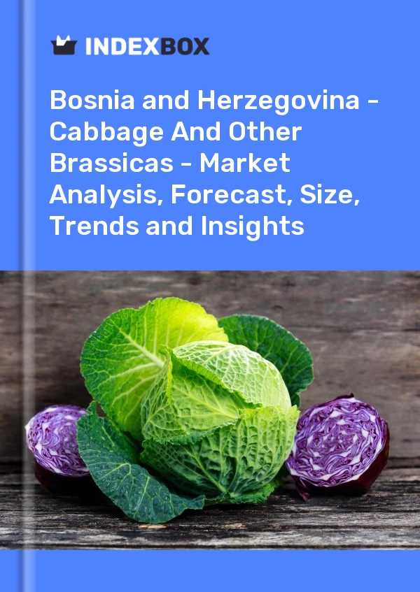 Report Bosnia and Herzegovina - Cabbage and Other Brassicas - Market Analysis, Forecast, Size, Trends and Insights for 499$