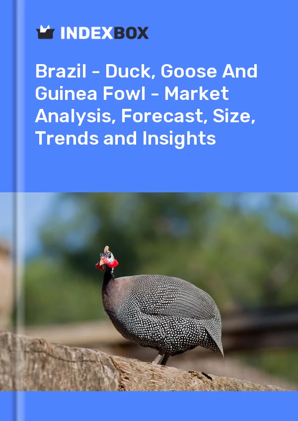 Report Brazil - Duck, Goose and Guinea Fowl - Market Analysis, Forecast, Size, Trends and Insights for 499$