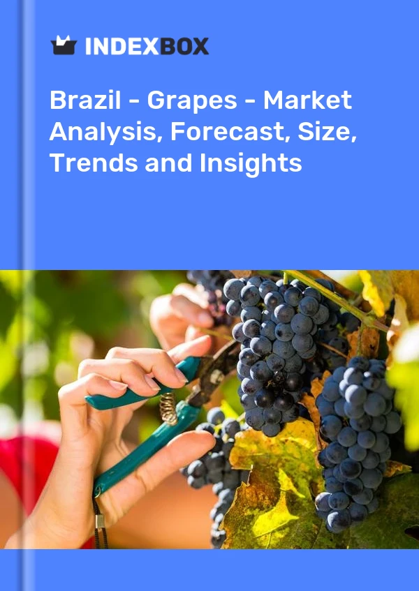 Report Brazil - Grapes - Market Analysis, Forecast, Size, Trends and Insights for 499$