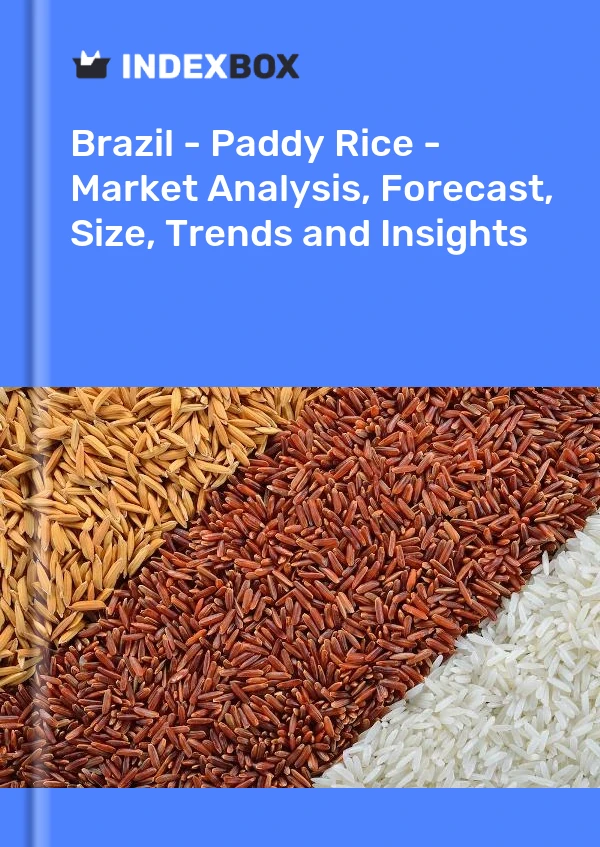 Report Brazil - Paddy Rice - Market Analysis, Forecast, Size, Trends and Insights for 499$