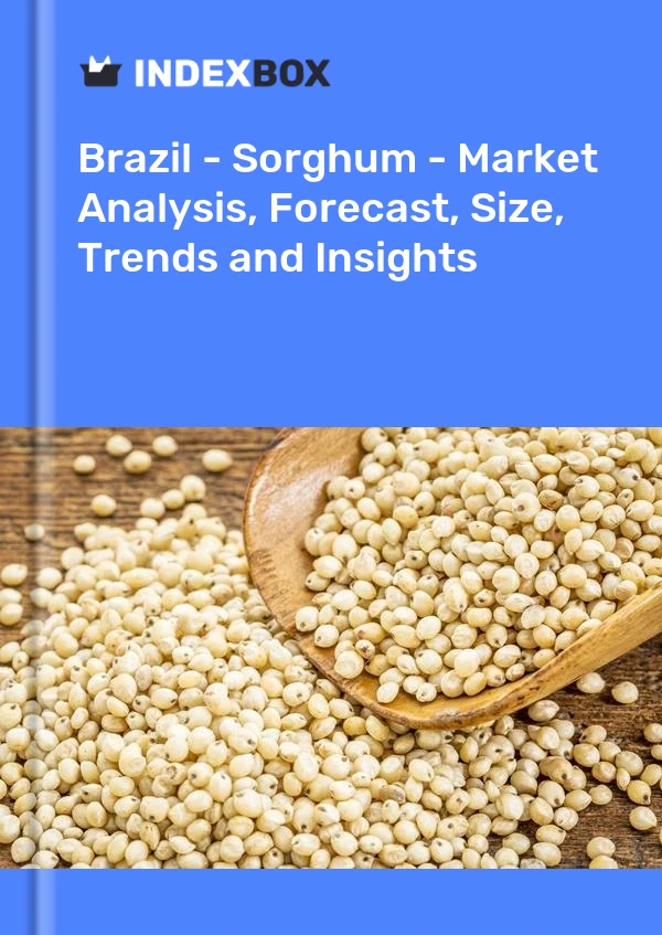 Report Brazil - Sorghum - Market Analysis, Forecast, Size, Trends and Insights for 499$
