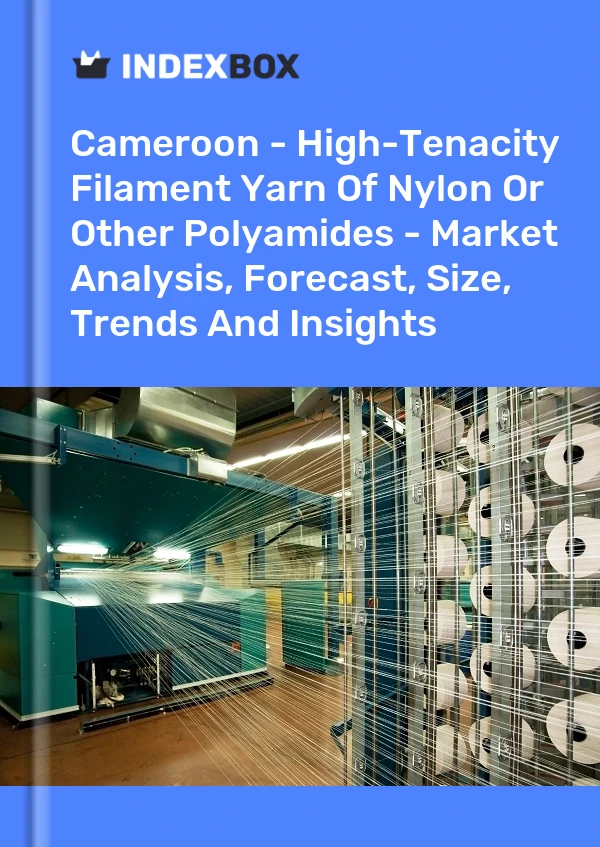 Report Cameroon - High-Tenacity Filament Yarn of Nylon or Other Polyamides - Market Analysis, Forecast, Size, Trends and Insights for 499$
