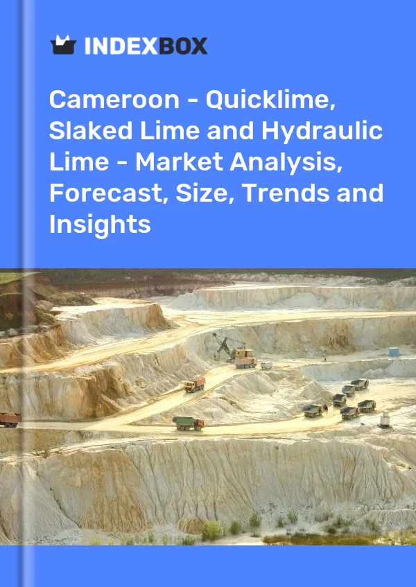 Report Cameroon - Quicklime, Slaked Lime and Hydraulic Lime - Market Analysis, Forecast, Size, Trends and Insights for 499$