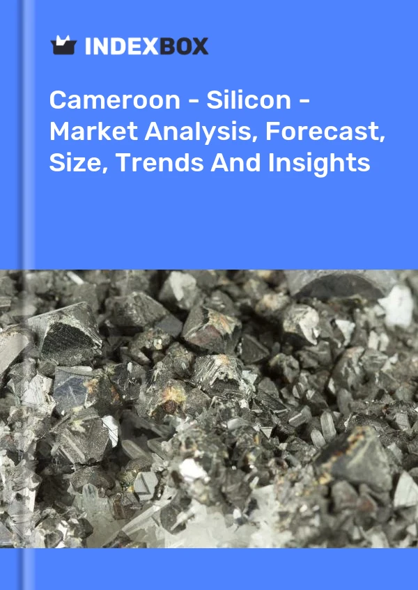 Report Cameroon - Silicon - Market Analysis, Forecast, Size, Trends and Insights for 499$