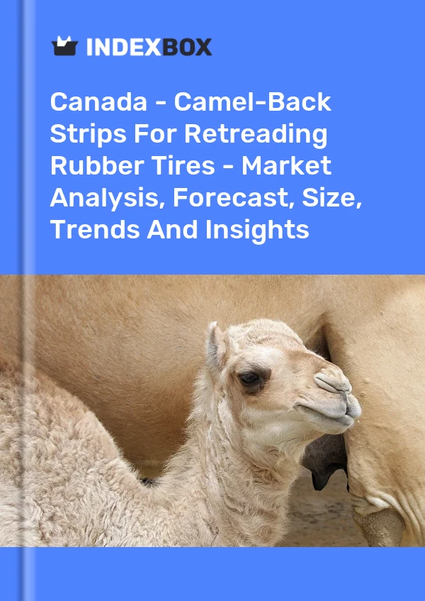 Report Canada - Camel-Back Strips for Retreading Rubber Tires - Market Analysis, Forecast, Size, Trends and Insights for 499$