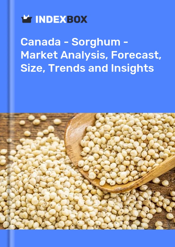 Report Canada - Sorghum - Market Analysis, Forecast, Size, Trends and Insights for 499$