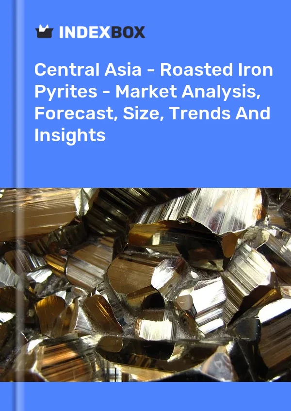 Report Central Asia - Roasted Iron Pyrites - Market Analysis, Forecast, Size, Trends and Insights for 499$