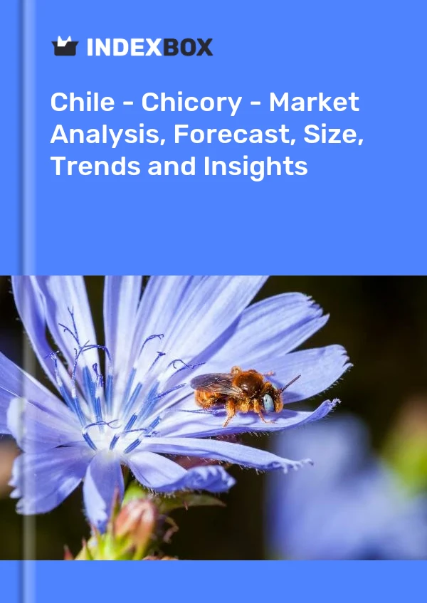 Chile - Chicory - Market Analysis, Forecast, Size, Trends and Insights