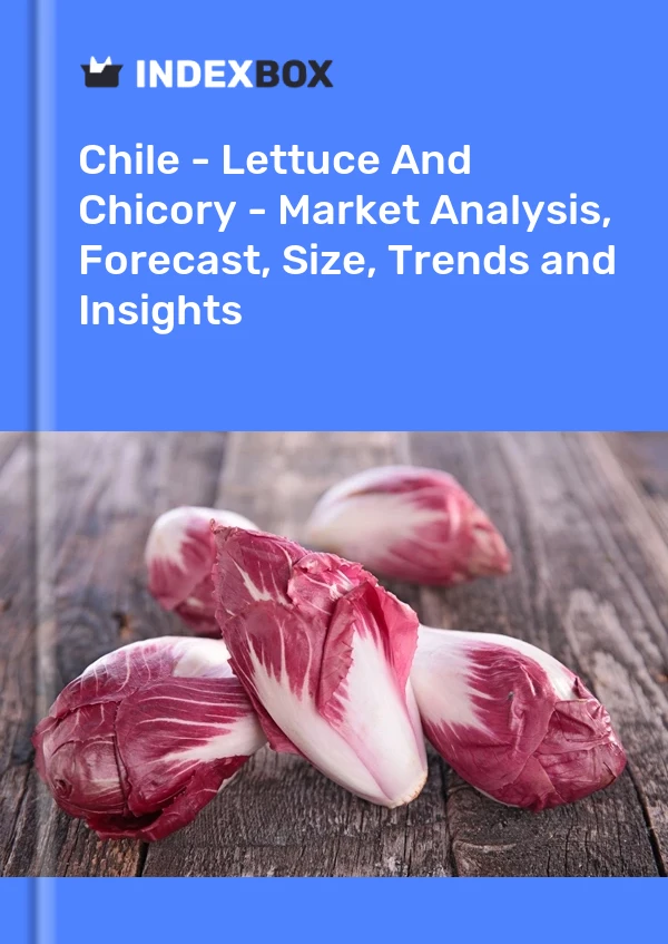 Report Chile - Lettuce and Chicory - Market Analysis, Forecast, Size, Trends and Insights for 499$