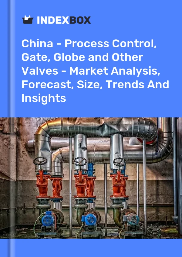 China - Process Control, Gate, Globe and Other Valves - Market Analysis, Forecast, Size, Trends And Insights