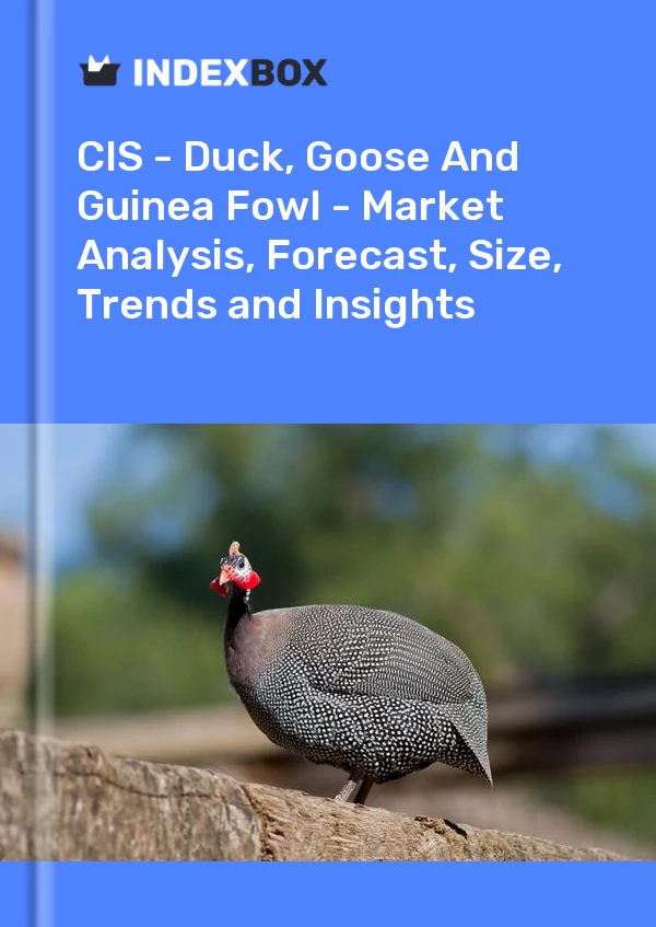 Report CIS - Duck, Goose and Guinea Fowl - Market Analysis, Forecast, Size, Trends and Insights for 499$