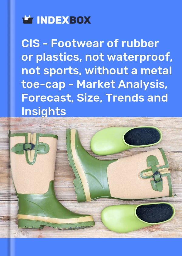 Report CIS - Footwear of rubber or plastics, not waterproof, not sports, without a metal toe-cap - Market Analysis, Forecast, Size, Trends and Insights for 499$