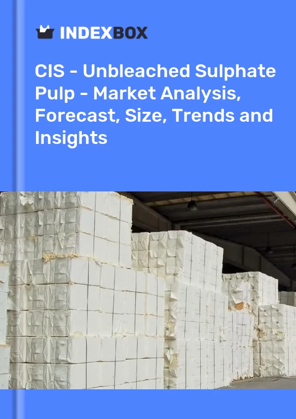 Report CIS - Unbleached Sulphate Pulp - Market Analysis, Forecast, Size, Trends and Insights for 499$
