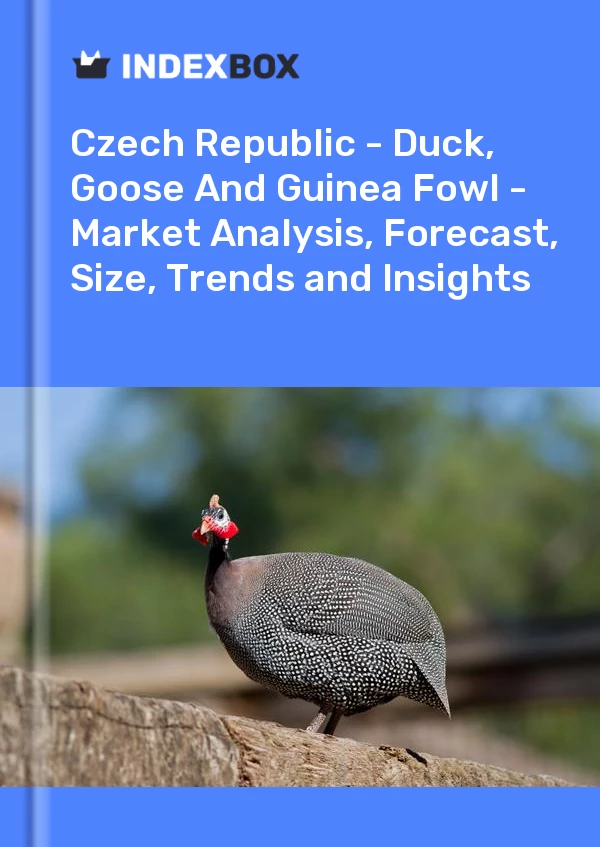 Report Czech Republic - Duck, Goose and Guinea Fowl - Market Analysis, Forecast, Size, Trends and Insights for 499$