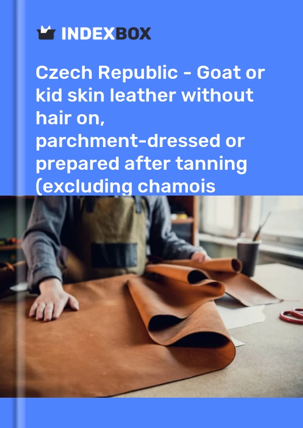 Report Czech Republic - Goat or kid skin leather without hair on, parchment-dressed or prepared after tanning (excluding chamois leather, patent leather, patent laminated leather and metallised leather) - Market Analysis, Forecast, Size, Trends and Insights for 499$