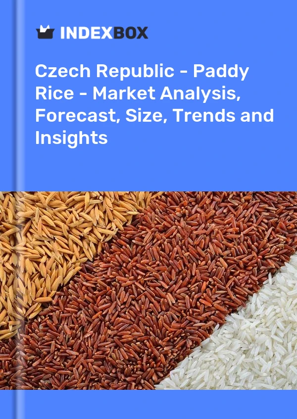 Report Czech Republic - Paddy Rice - Market Analysis, Forecast, Size, Trends and Insights for 499$