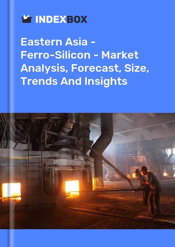 Report Eastern Asia - Ferro-Silicon - Market Analysis, Forecast, Size, Trends and Insights for 499$