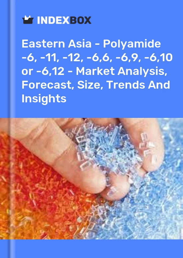 Report Eastern Asia - Polyamide -6, -11, -12, -6,6, -6,9, -6,10 or -6,12 - Market Analysis, Forecast, Size, Trends and Insights for 499$