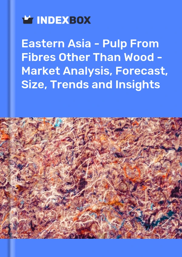 Report Eastern Asia - Pulp From Fibres Other Than Wood - Market Analysis, Forecast, Size, Trends and Insights for 499$