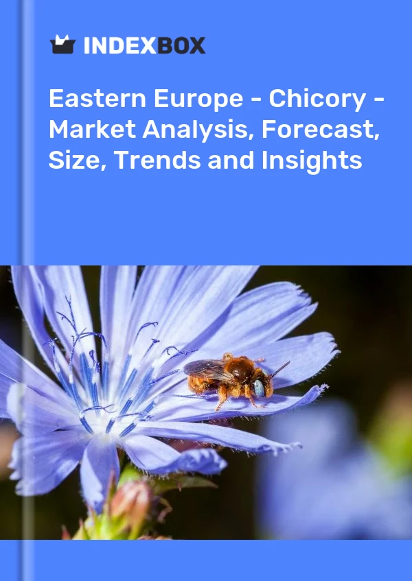 Report Eastern Europe - Chicory - Market Analysis, Forecast, Size, Trends and Insights for 499$