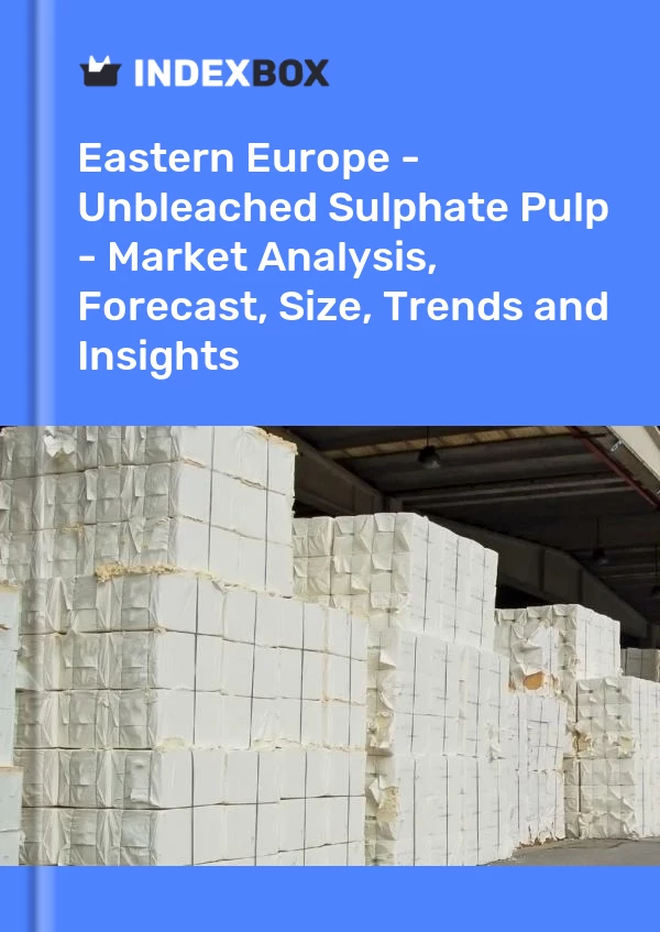Report Eastern Europe - Unbleached Sulphate Pulp - Market Analysis, Forecast, Size, Trends and Insights for 499$