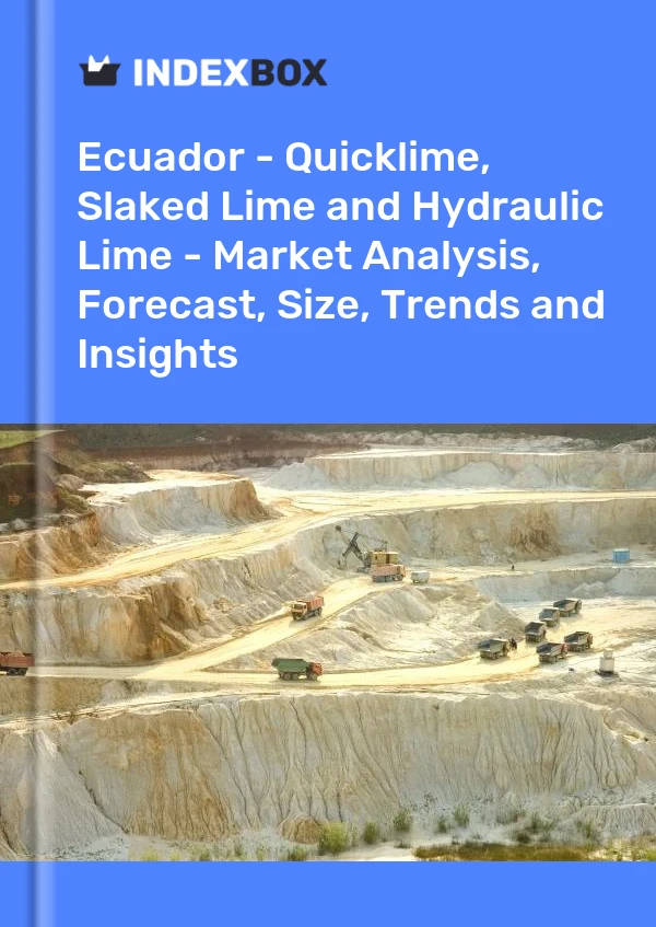 Report Ecuador - Quicklime, Slaked Lime and Hydraulic Lime - Market Analysis, Forecast, Size, Trends and Insights for 499$