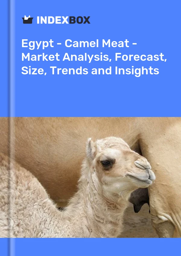 Egypt - Camel Meat - Market Analysis, Forecast, Size, Trends and Insights