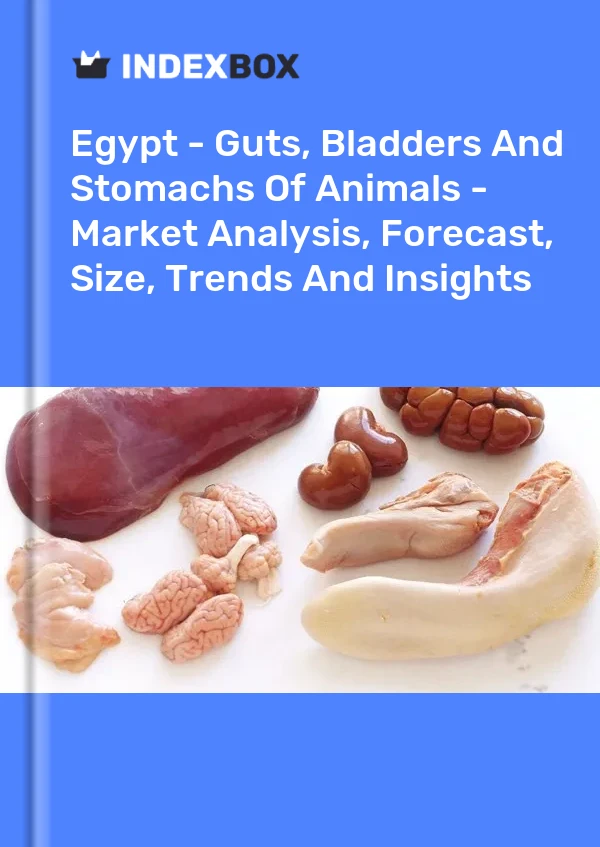 Egypt - Guts, Bladders And Stomachs Of Animals - Market Analysis, Forecast, Size, Trends And Insights