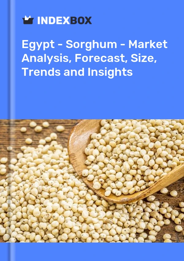 Egypt - Sorghum - Market Analysis, Forecast, Size, Trends and Insights