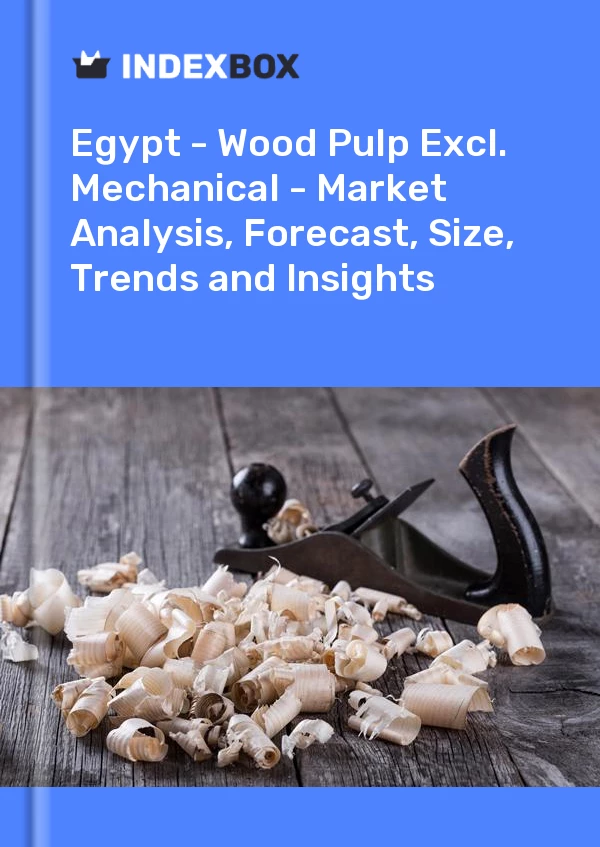 Report Egypt - Wood Pulp Excl. Mechanical - Market Analysis, Forecast, Size, Trends and Insights for 499$
