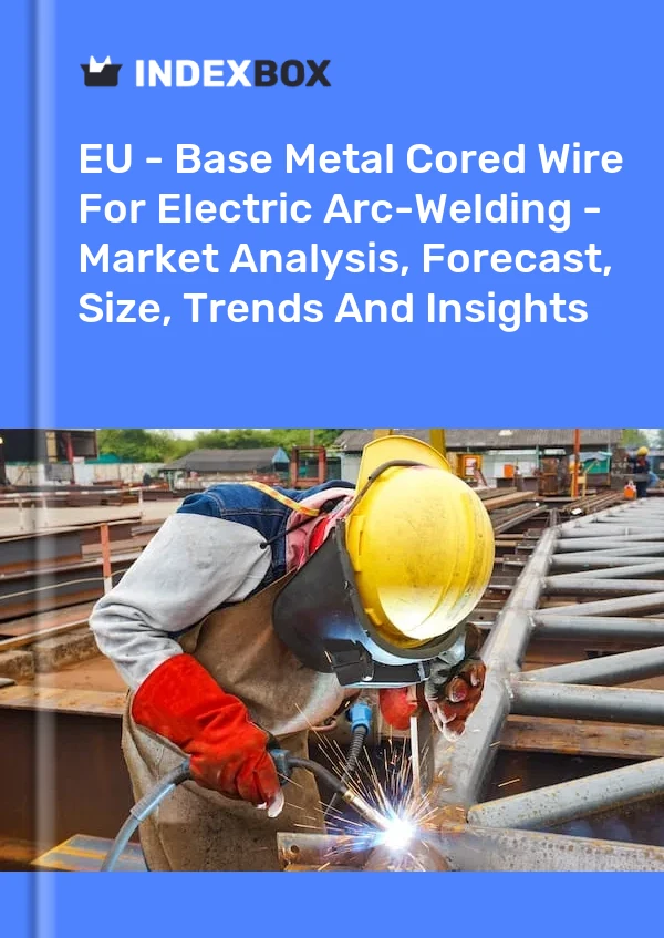 Report EU - Base Metal Cored Wire for Electric Arc-Welding - Market Analysis, Forecast, Size, Trends and Insights for 499$