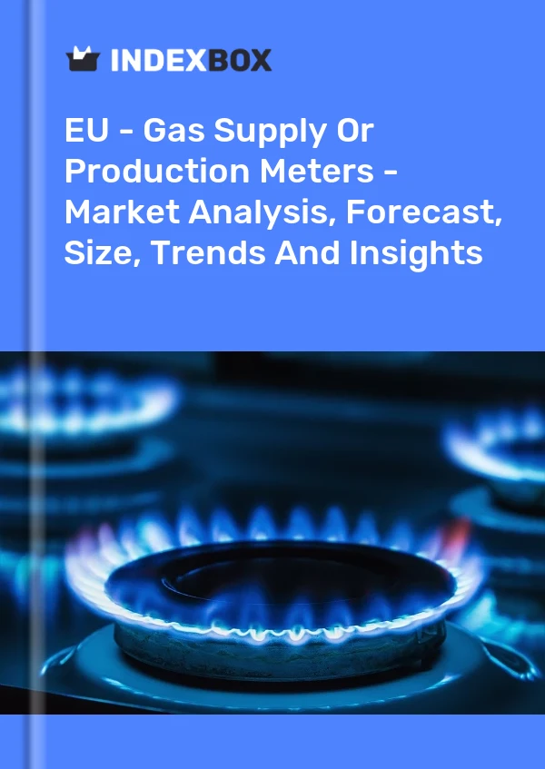 Report EU - Gas Supply or Production Meters - Market Analysis, Forecast, Size, Trends and Insights for 499$