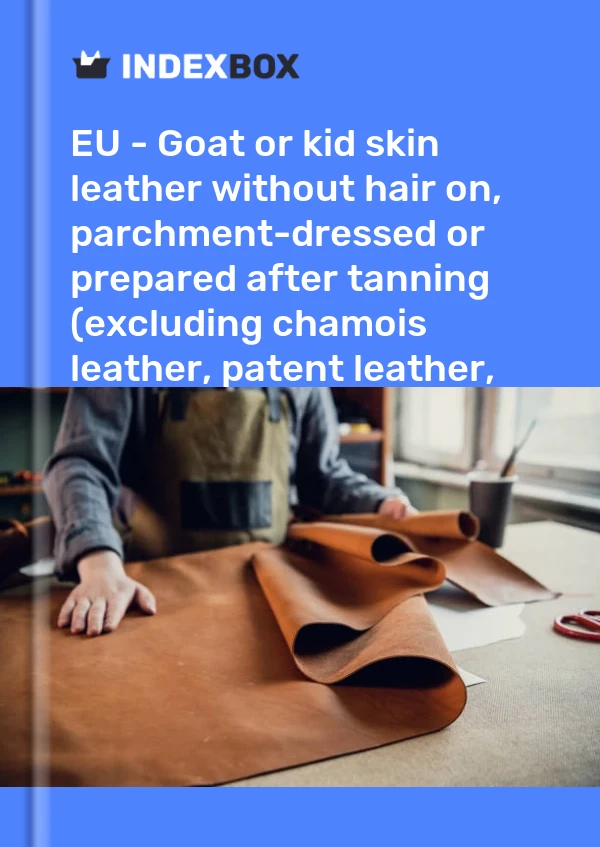 Report EU - Goat or kid skin leather without hair on, parchment-dressed or prepared after tanning (excluding chamois leather, patent leather, patent laminated leather and metallised leather) - Market Analysis, Forecast, Size, Trends and Insights for 499$
