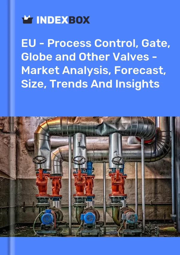 Report EU - Process Control, Gate, Globe and Other Valves - Market Analysis, Forecast, Size, Trends and Insights for 499$