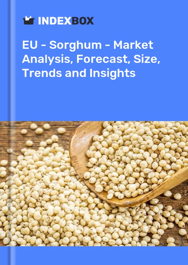 Report EU - Sorghum - Market Analysis, Forecast, Size, Trends and Insights for 499$