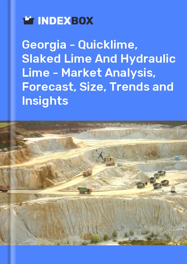 Report Georgia - Quicklime, Slaked Lime and Hydraulic Lime - Market Analysis, Forecast, Size, Trends and Insights for 499$