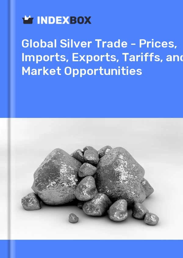 Report Global Silver Trade - Prices, Imports, Exports, Tariffs, and Market Opportunities for 499$