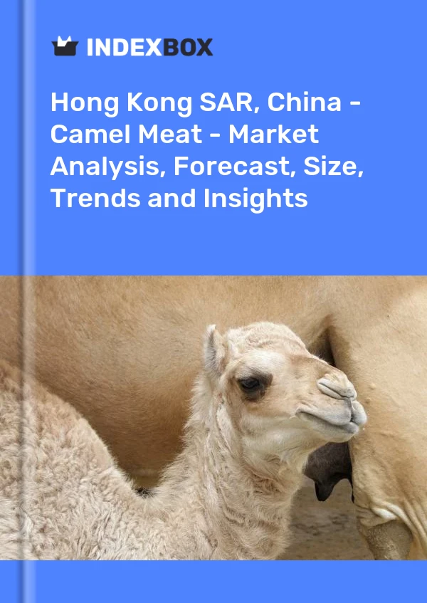 Report Hong Kong SAR, China - Camel Meat - Market Analysis, Forecast, Size, Trends and Insights for 499$