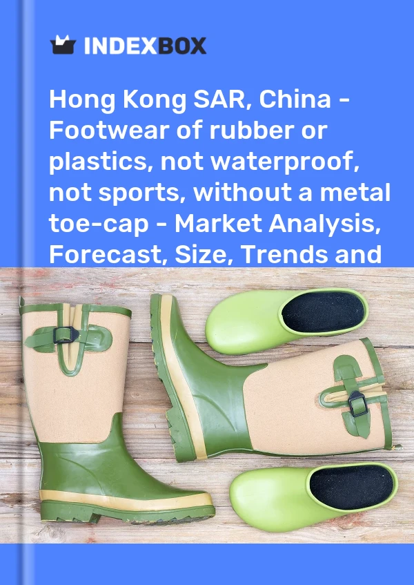 Report Hong Kong SAR, China - Footwear of rubber or plastics, not waterproof, not sports, without a metal toe-cap - Market Analysis, Forecast, Size, Trends and Insights for 499$