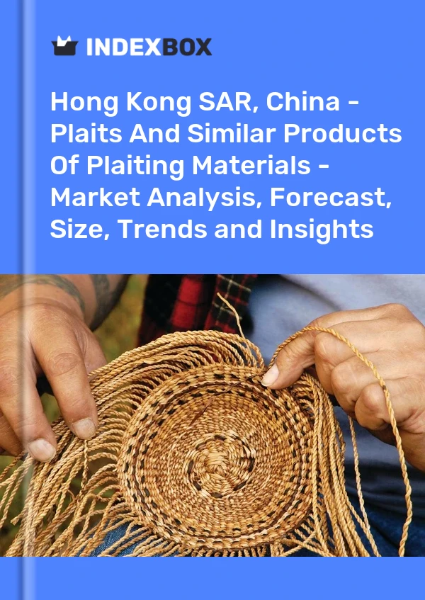 Report Hong Kong SAR, China - Plaits and Similar Products of Plaiting Materials - Market Analysis, Forecast, Size, Trends and Insights for 499$