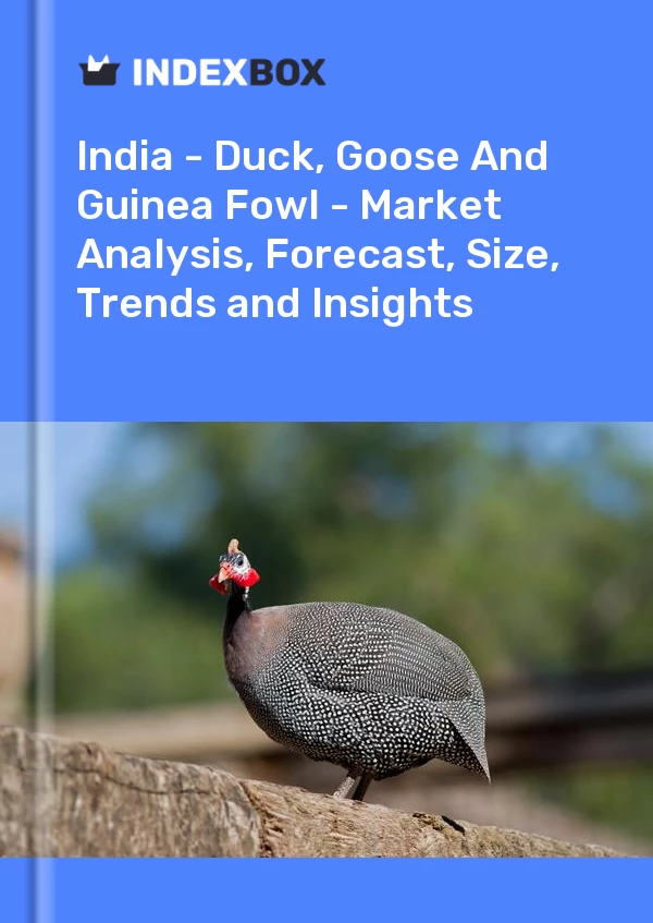 Report India - Duck, Goose and Guinea Fowl - Market Analysis, Forecast, Size, Trends and Insights for 499$