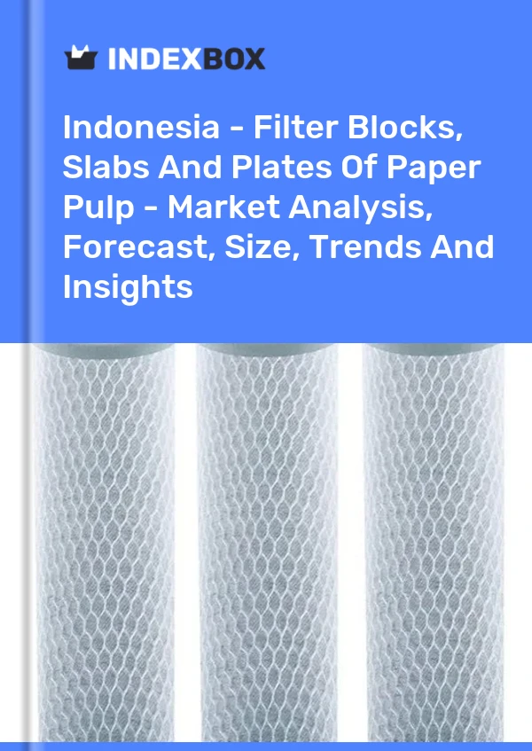 Report Indonesia - Filter Blocks, Slabs and Plates of Paper Pulp - Market Analysis, Forecast, Size, Trends and Insights for 499$